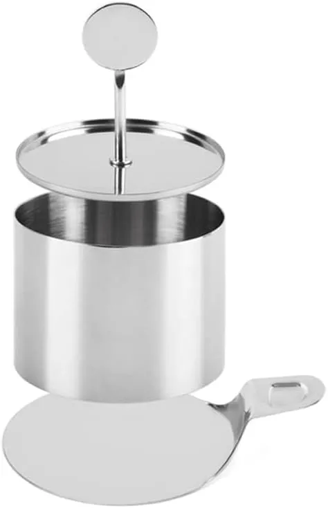 NALACAL 1 Set Stainless Steel Round Cake Ring Mold with Pusher and Transfer Plate Seamless Mousse Ring Mold Dessert Mousse Molds Mousse Ring Cake Mold Round Biscuit Cutter for Baking Pastry, 3 Inch