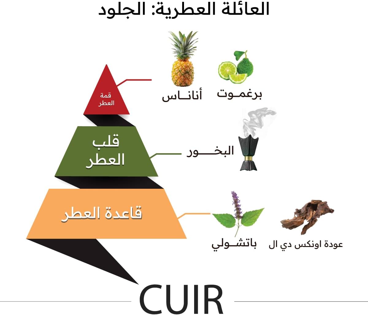 almajed for oud cuir parfum for unisex 150 ml