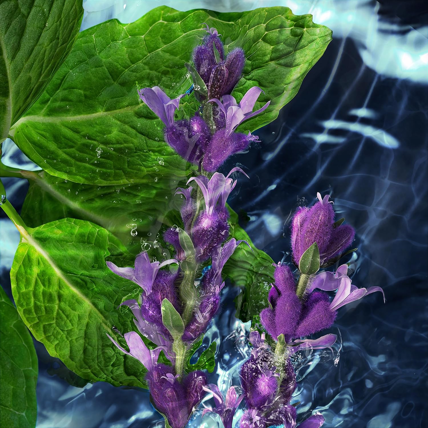 davidoff cool water perfume for men eau de toilette 125ml