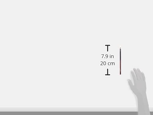 wet n wild lip liner color icon e711 chestnut, 1 count (pack of 1)