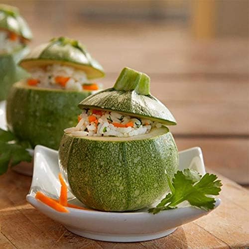 4 replaceable head vegetable drill/spiralizer/digging/corer device corer for stuffed vegetables