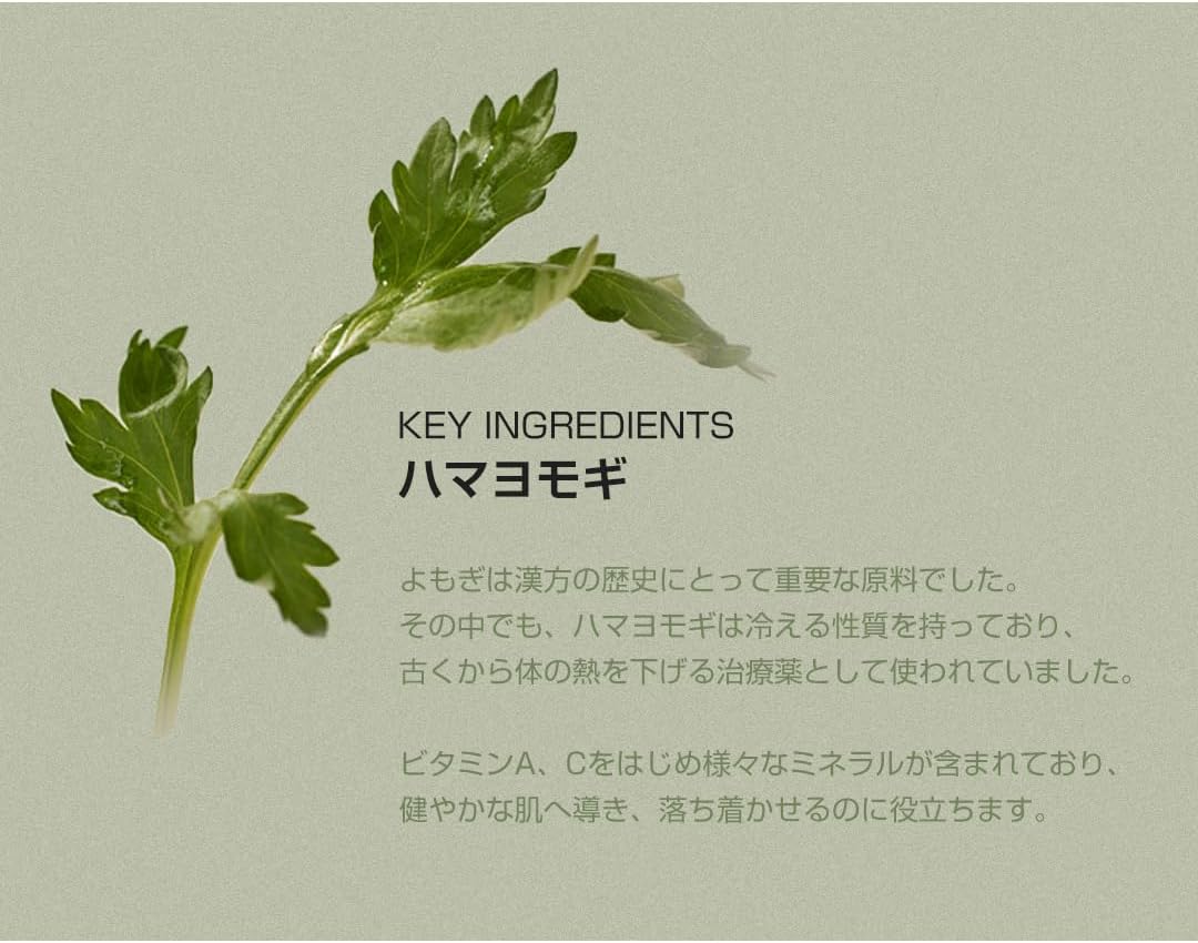 beauty of joseon matte sun stick : mugwort+camelia(18g, 0.63fl.oz), 1 count