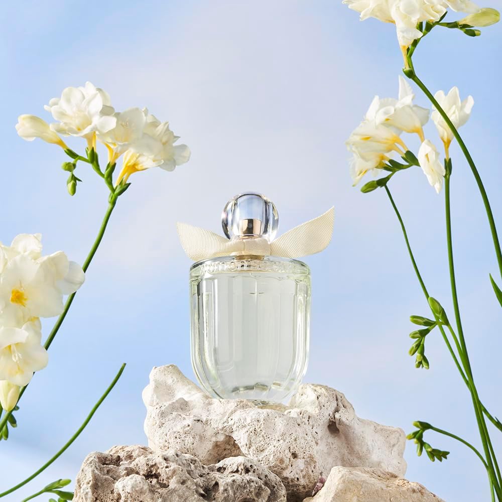 women'secret women secret coffre eau my delice eau de toilette 100 ml and body lotion 200 ml set for women