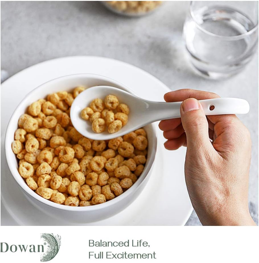 dowan bone china asian soup spoons set with hook, dessert spoons, 6.75 inches, set of 6