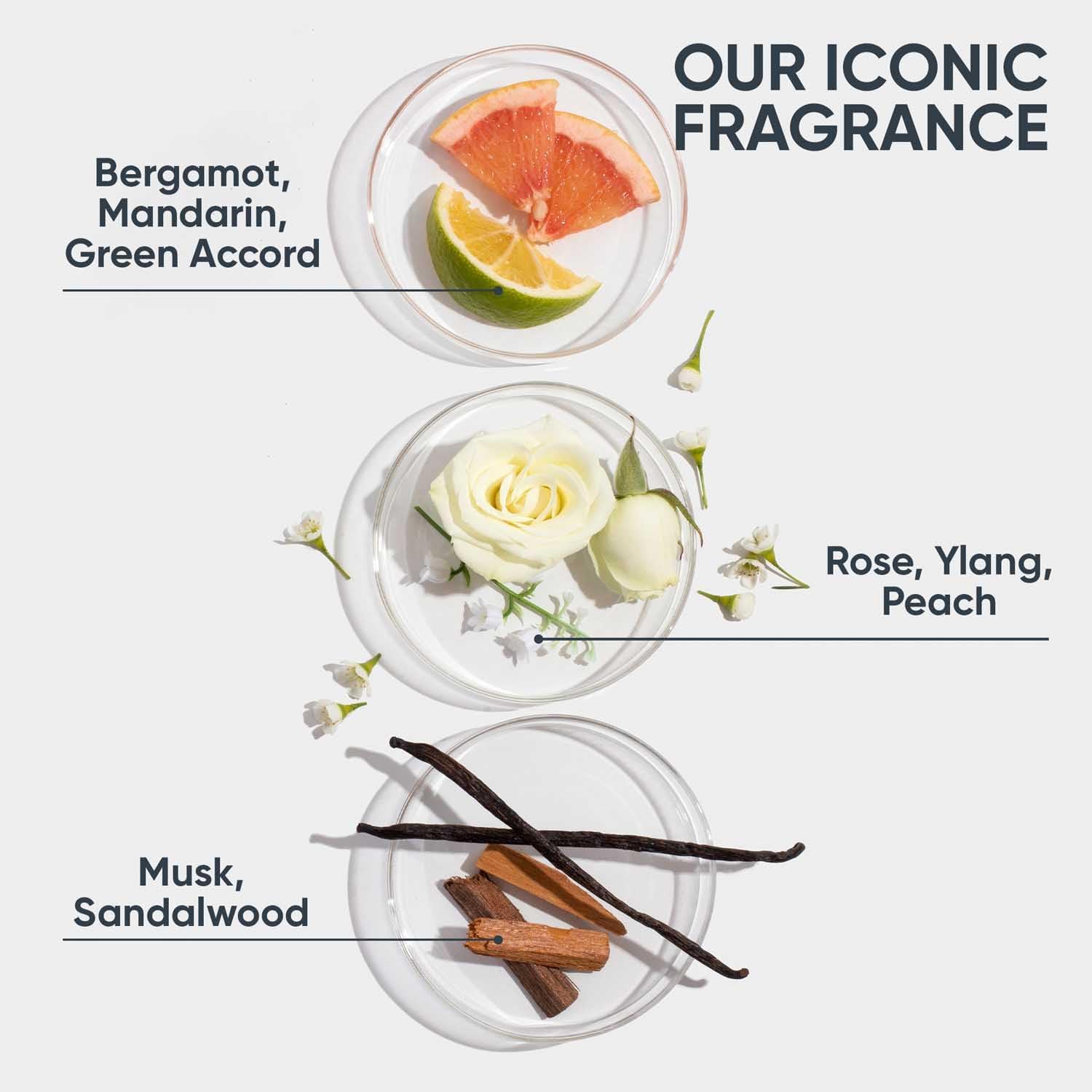 biolage smoothproof deep smoothing 6 in 1 serum | paraben free|controls frizz, smoothens rough ends and adds instant shine| for frizzy hair | 100ml