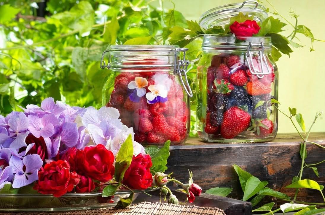 bormioli rocco fido clip jar, clear, 3 litres, brr.gw008043