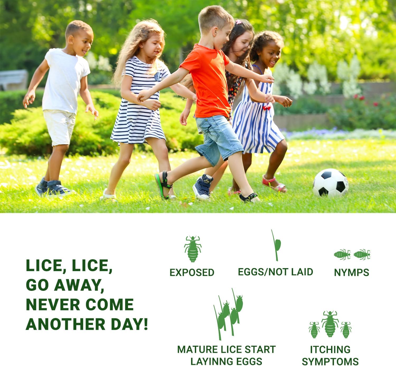 mediker anti lice treatment shampoo with neem & coconut for lice & eggs | relieves itching from lice bite & prevents re infestation | painless lice removal | safe for children | 50 ml