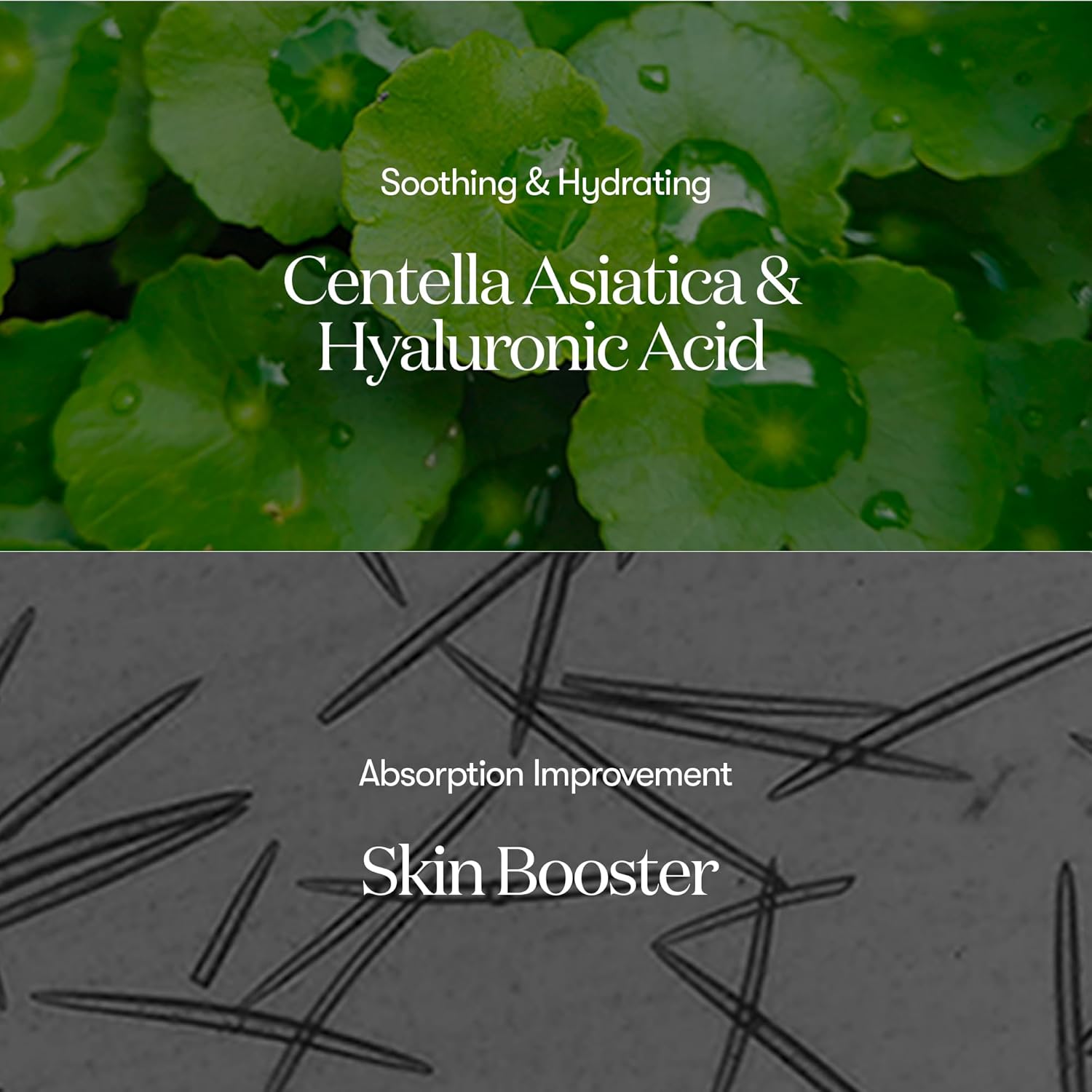 vt reedle shot 100 50ml