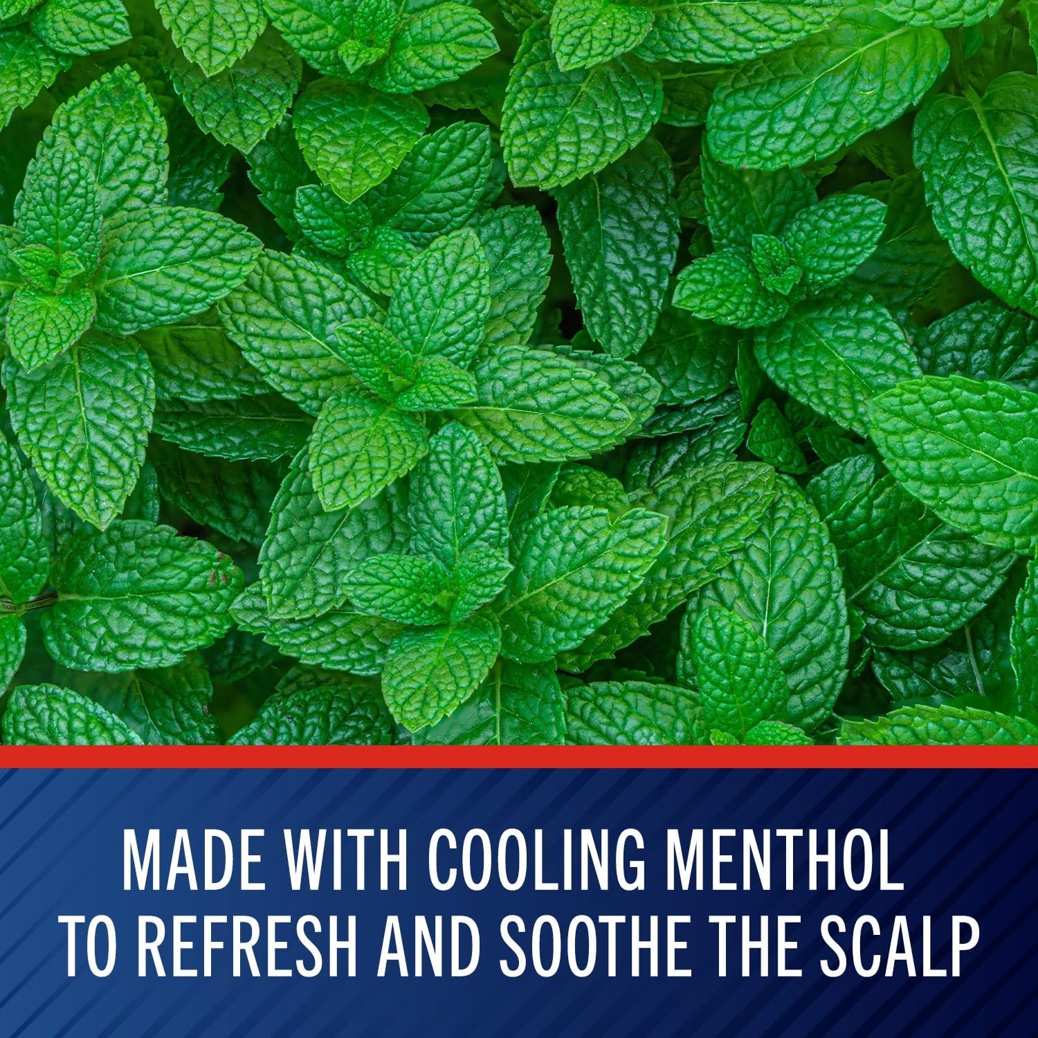 selsun blue medicated anti dandruff shampoo with menthol, 11 fl. oz., maximum strength, selenium sulfide 1%