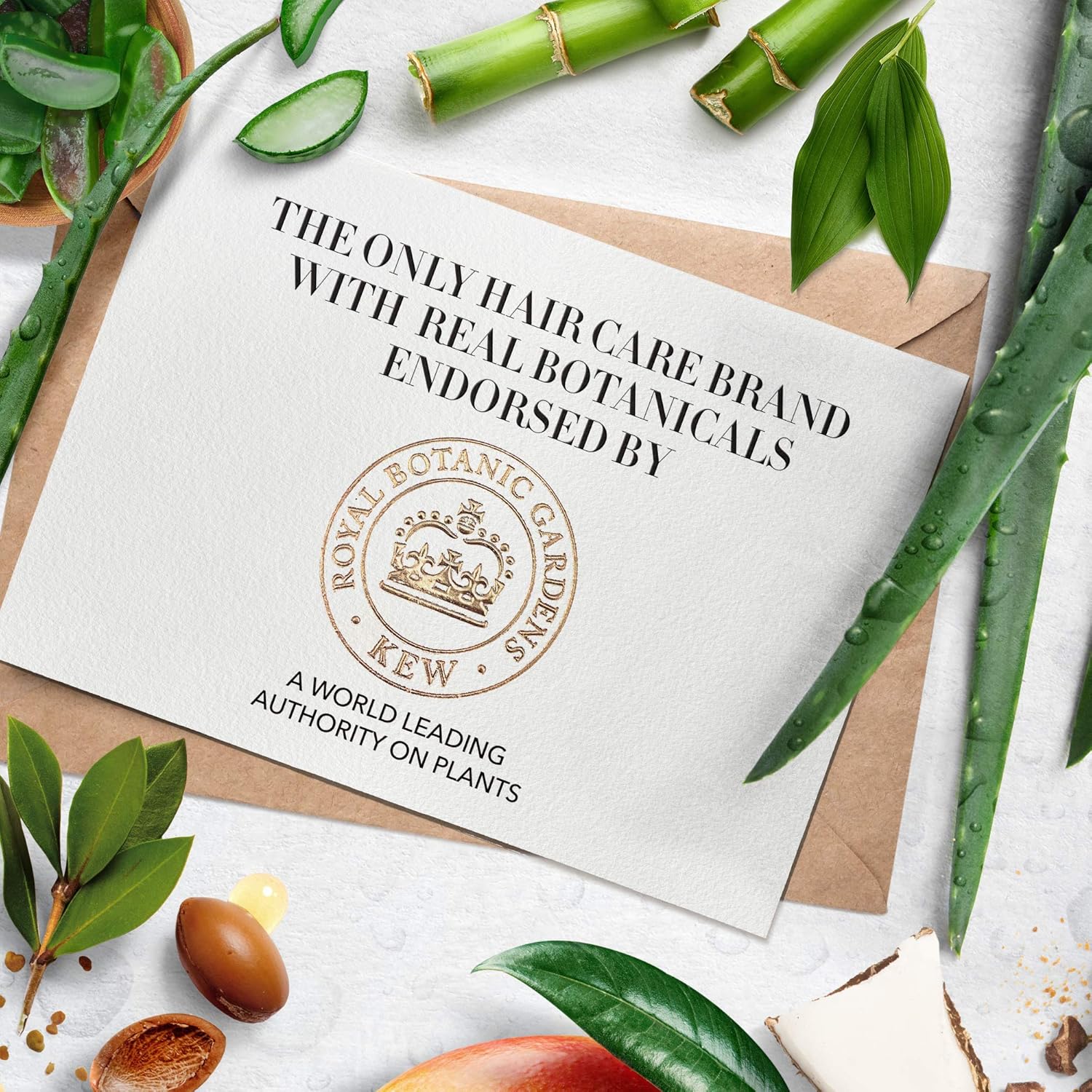 herbal essences hair strengthening sulfate free potent aloe vera + bamboo natural shampoo for dry hair and hair hydrate, 400ml