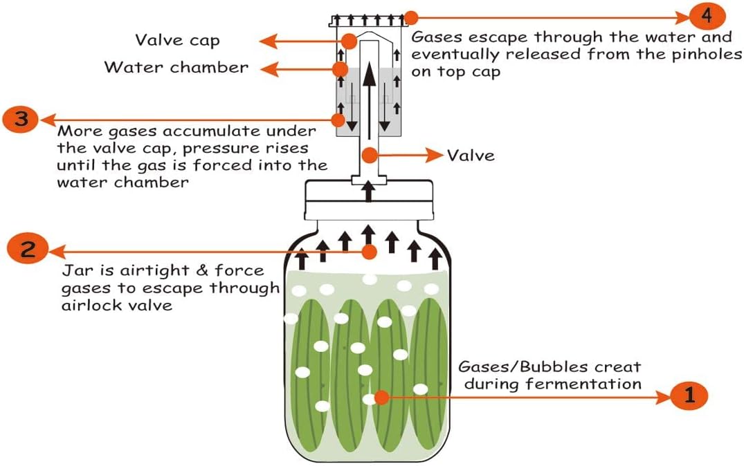 jillmo fermentation kit for wide mouth jars 4 airlocks, 4 silicone grommets, 4 stainless steel wide mouth mason jar fermenting lids with silicone rings (4 set, jars not included)