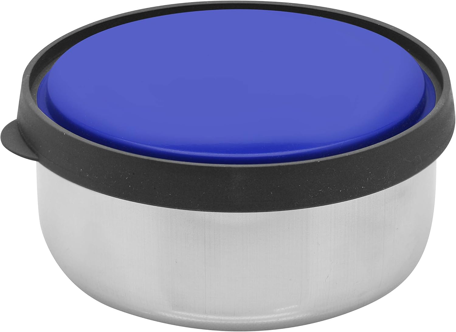 raj steel storage bowl with blue plastic lid 12 cm, pd0001, nuts bowl , food container , serving bowl, lunch box