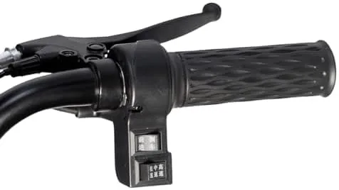 CRONY X3B motorcycle electric bike 350W 48V electric motorcycle Electric Bicycles 3 wheel motorcycle- Red