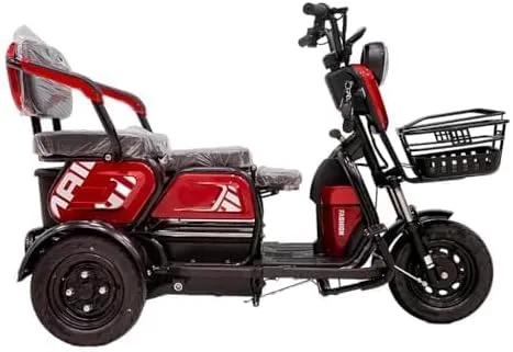 CRONY X3B motorcycle electric bike 350W 48V electric motorcycle Electric Bicycles 3 wheel motorcycle- Red
