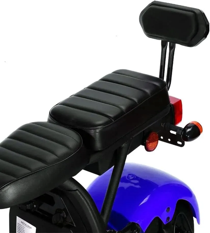 CRONY G-029 3000W Electric Motorcycle Motorbike High Speed Harley tyre Double Seat with double battery | Blue, 180*39*80cm