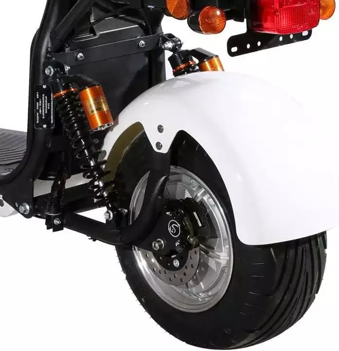 Adult Citycoco Electric Motorcycle 3000W / 60 Volt Removable Lithium Battery - 70Km/h speed