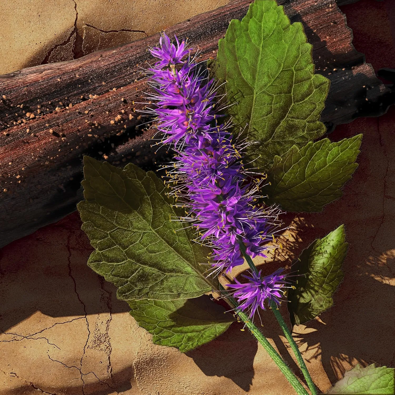 davidoff zino perfume for men eau de toilette 125ml