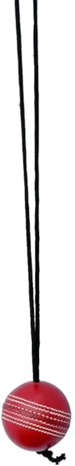 Men's Cricket hard Ball Hanging Ball for Bat Knocking and Practice with Reaction String