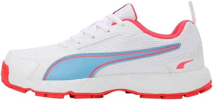 PUMA Cricket HighRun mens Shoes