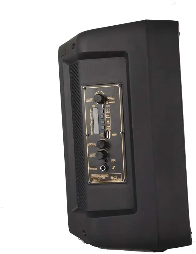 CRONY Rx-8136 Speaker 8 Inch Flame Fire Running Colorful Light Portable Party Speaker For Out Door Use With Wired Microphone