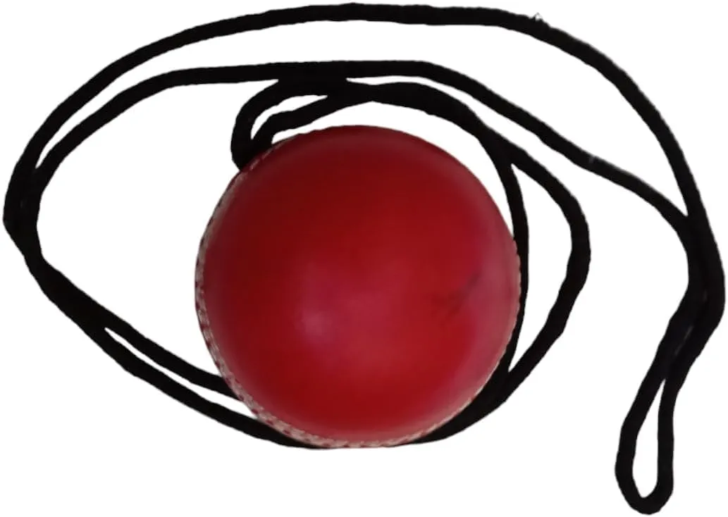 Men's Cricket hard Ball Hanging Ball for Bat Knocking and Practice with Reaction String