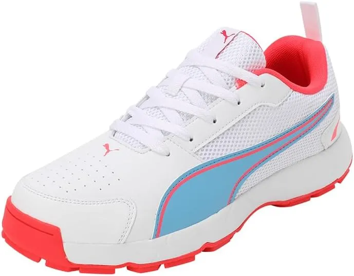PUMA Cricket HighRun mens Shoes