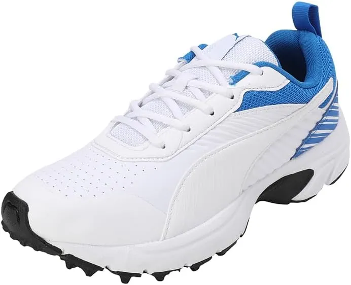 PUMA Cricket Active mens Shoes