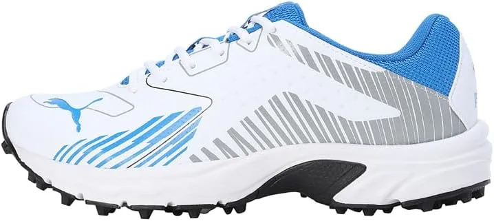 PUMA Cricket Power mens Shoes