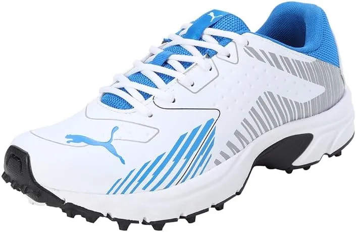 PUMA Cricket Power mens Shoes