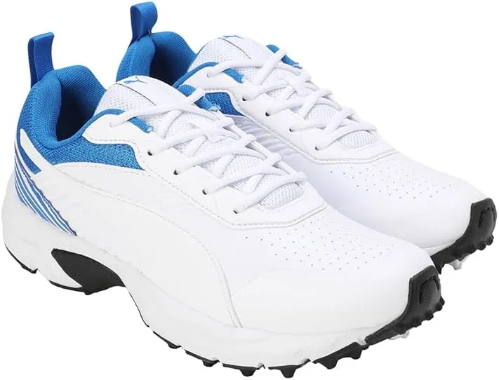 PUMA Cricket Active mens Shoes