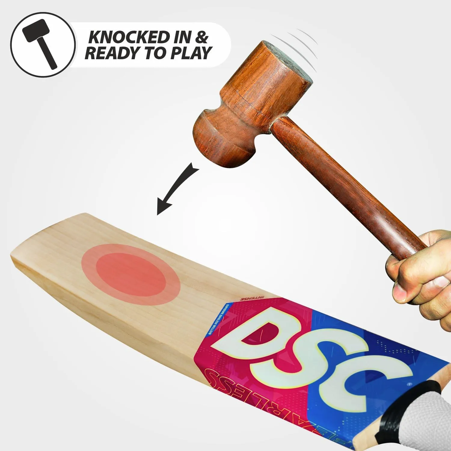 DSC Intense Attitude English Willow Cricket Bat