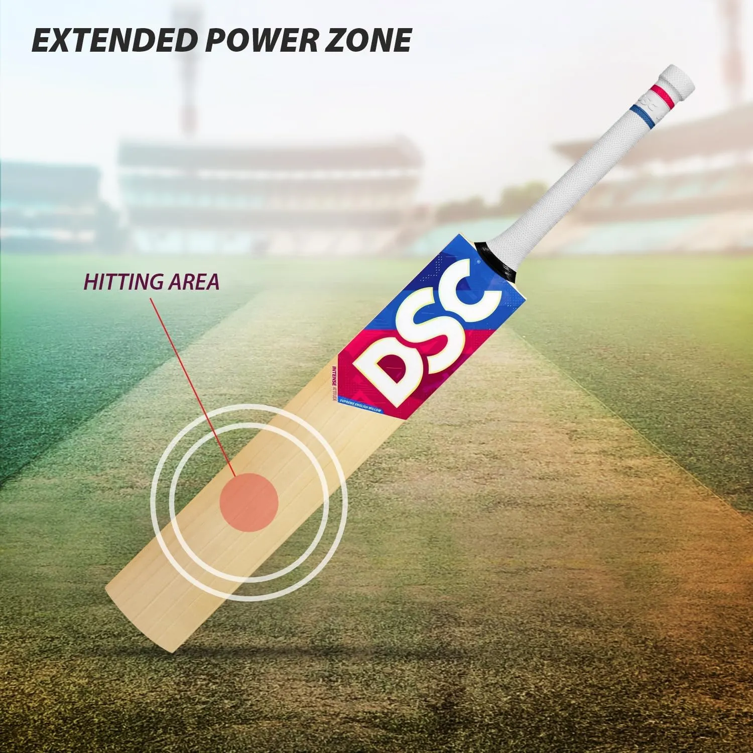 DSC Intense Attitude English Willow Cricket Bat