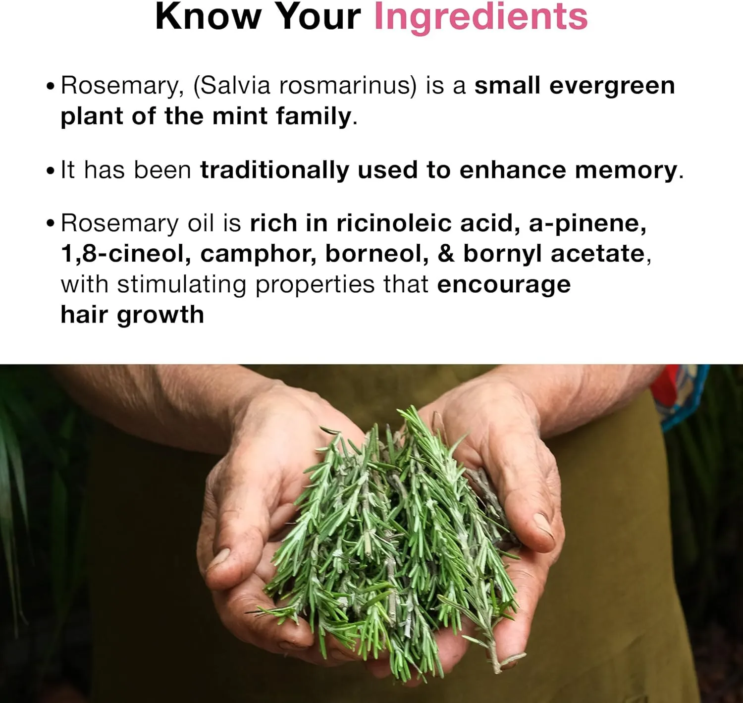 SOULFLOWER ORGANIC ROSEMARY OIL FOR HAIR GROWTH, HAIRFALL CONTROL & SCALP NOURISHMENT, 100% PURE ESSENTIAL OIL, ECOCERT COSMOS CERTIFIED, 30ML/ 1 FL OZ