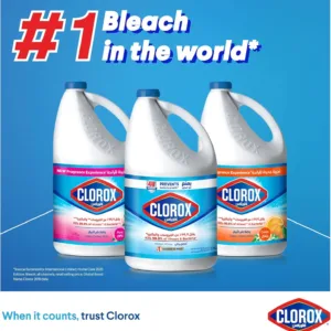 Clorox bleach bottles; world's number one bleach.