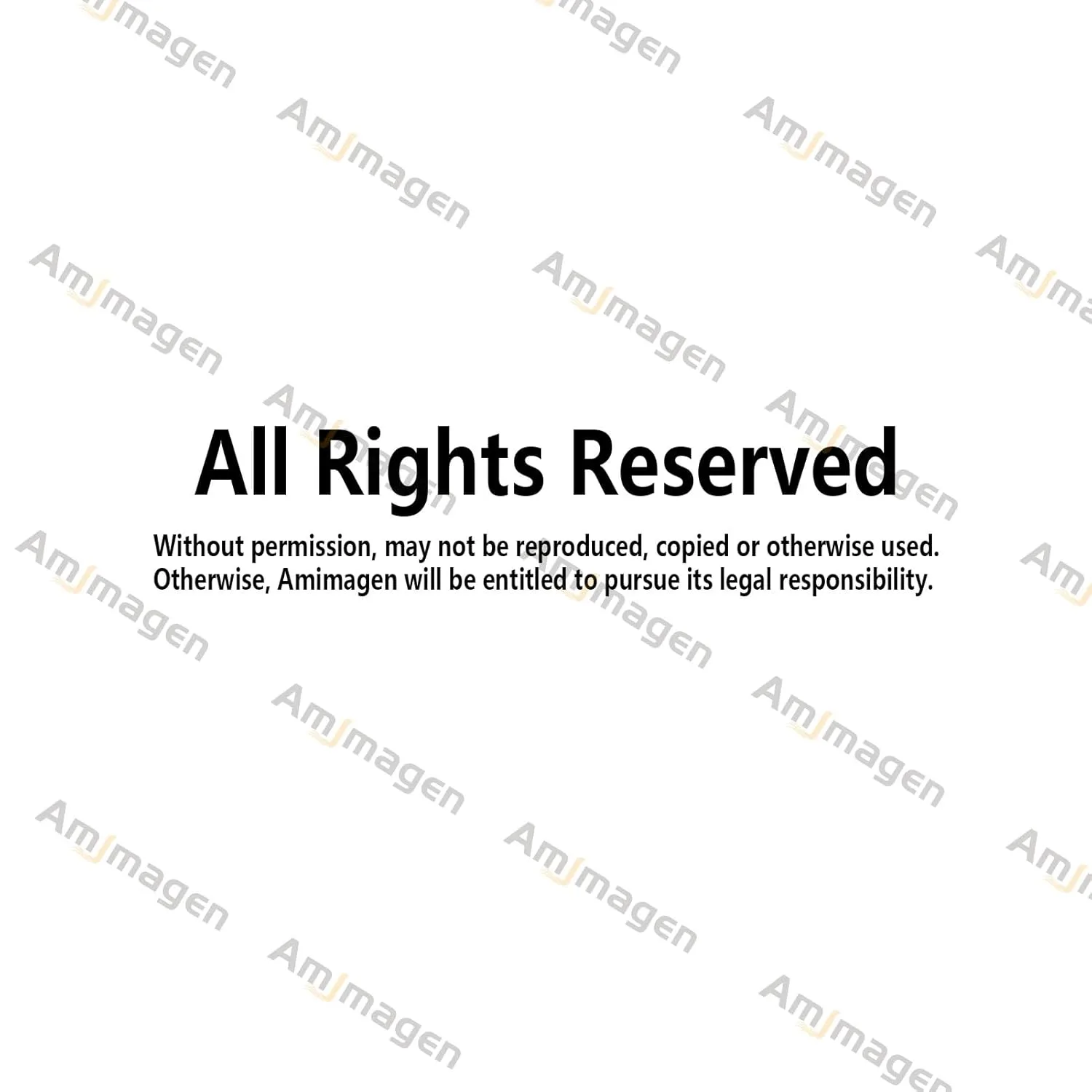 animals airplane stickers 6