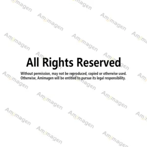 animals wall stickers 6