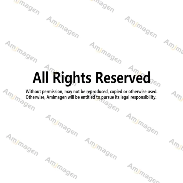 animals wall stickers 6