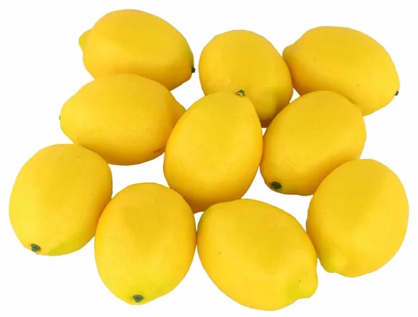 artificial lemons fake 1