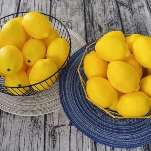 artificial lemons fake 3