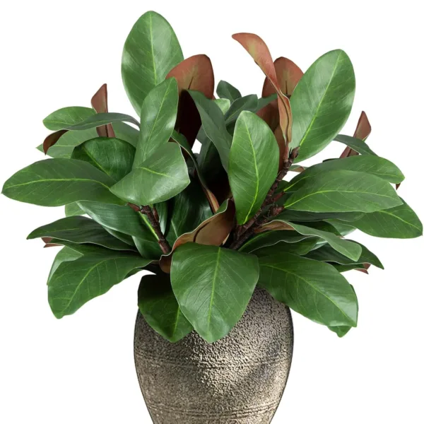 artificial magnolia leaves 1