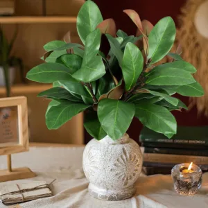 artificial magnolia leaves 5