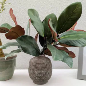 artificial magnolia leaves 7
