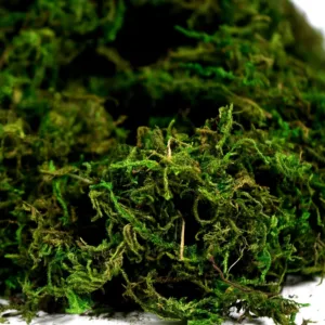 artificial moss green grass 3