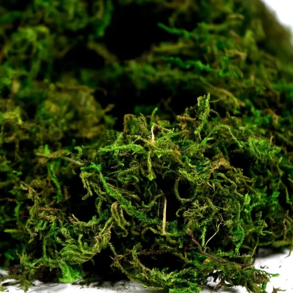 artificial moss green grass 3