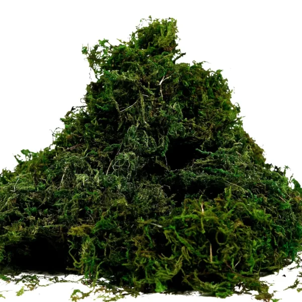 artificial moss green grass 4