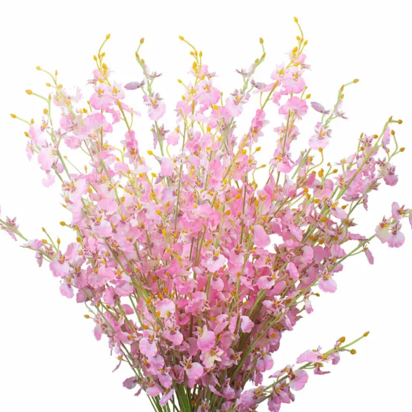 artificial orchids dancing lady 1