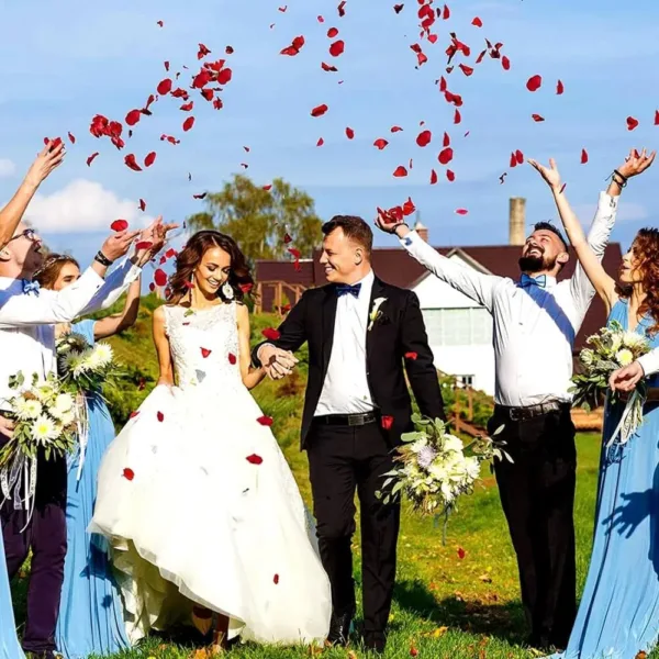 artificial rose petals 5