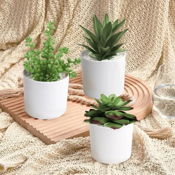 artificial succulents plants 2