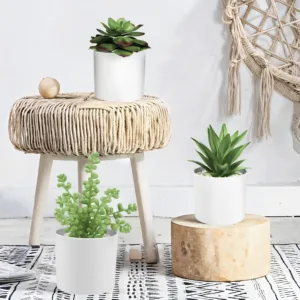 artificial succulents plants 6