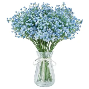 baby breath blue 1